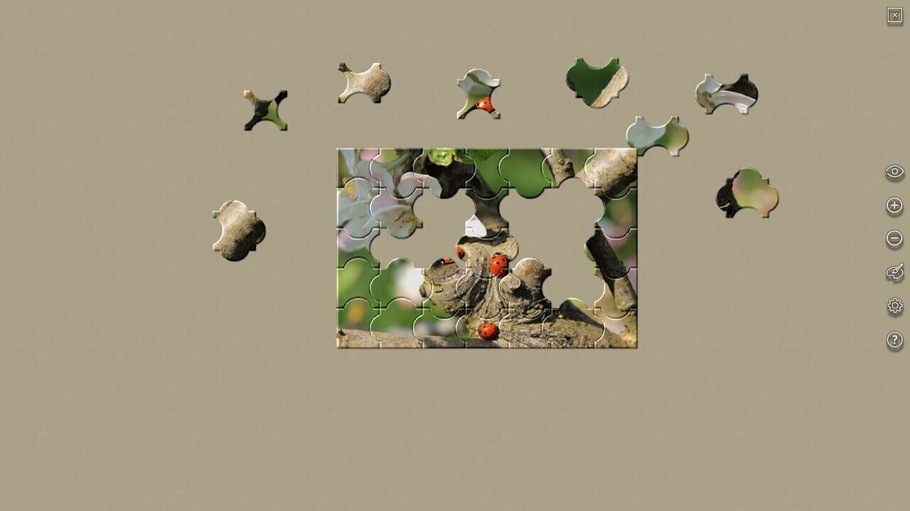 House of Jigsaw: The Best of Macro Photography — Screenshot 5