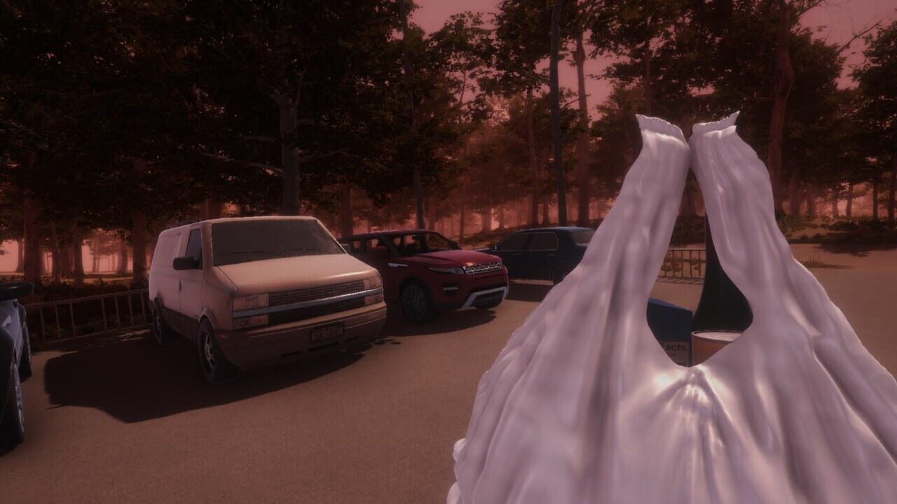The Stalked Image