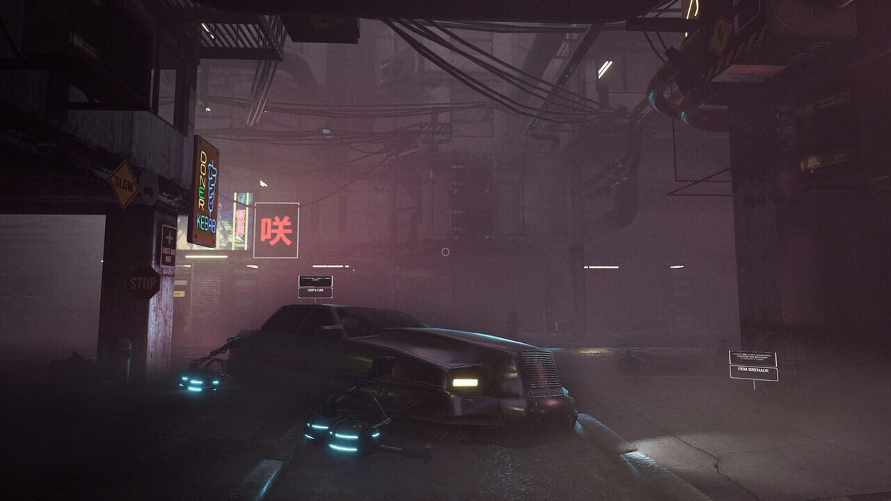 Detective: Minerva Case Image