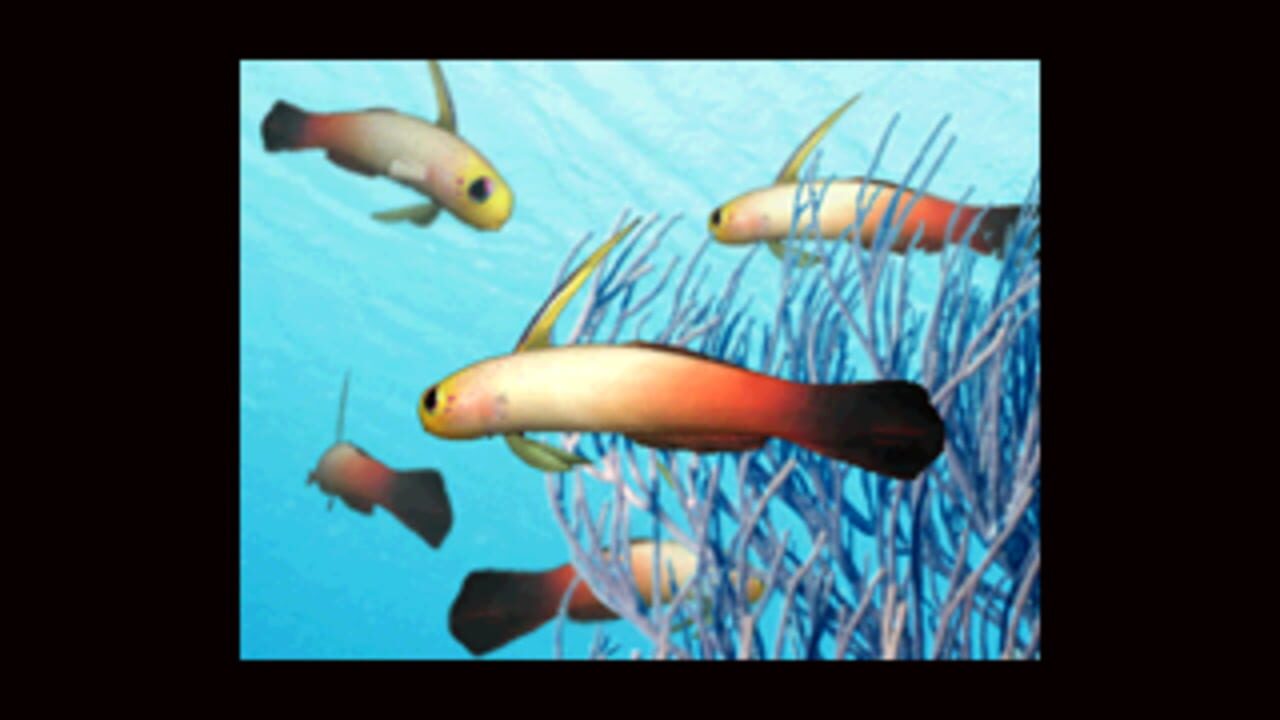 Aqua-World: Umi Monogatari — Screenshot 3
