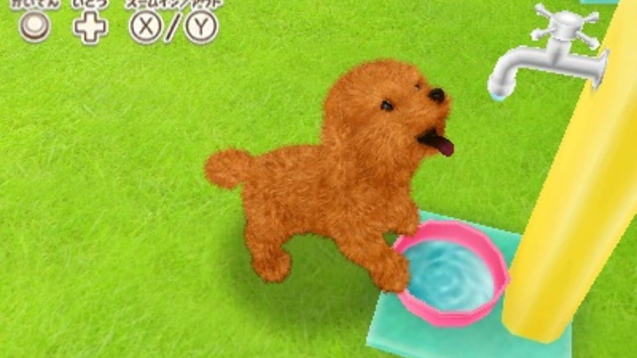 Kawaii Pet to Kurasou! Wan Nyan & Mini Mini Animal — Screenshot 2