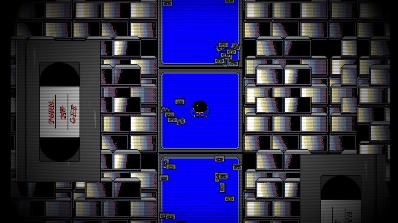Polarvoid Image