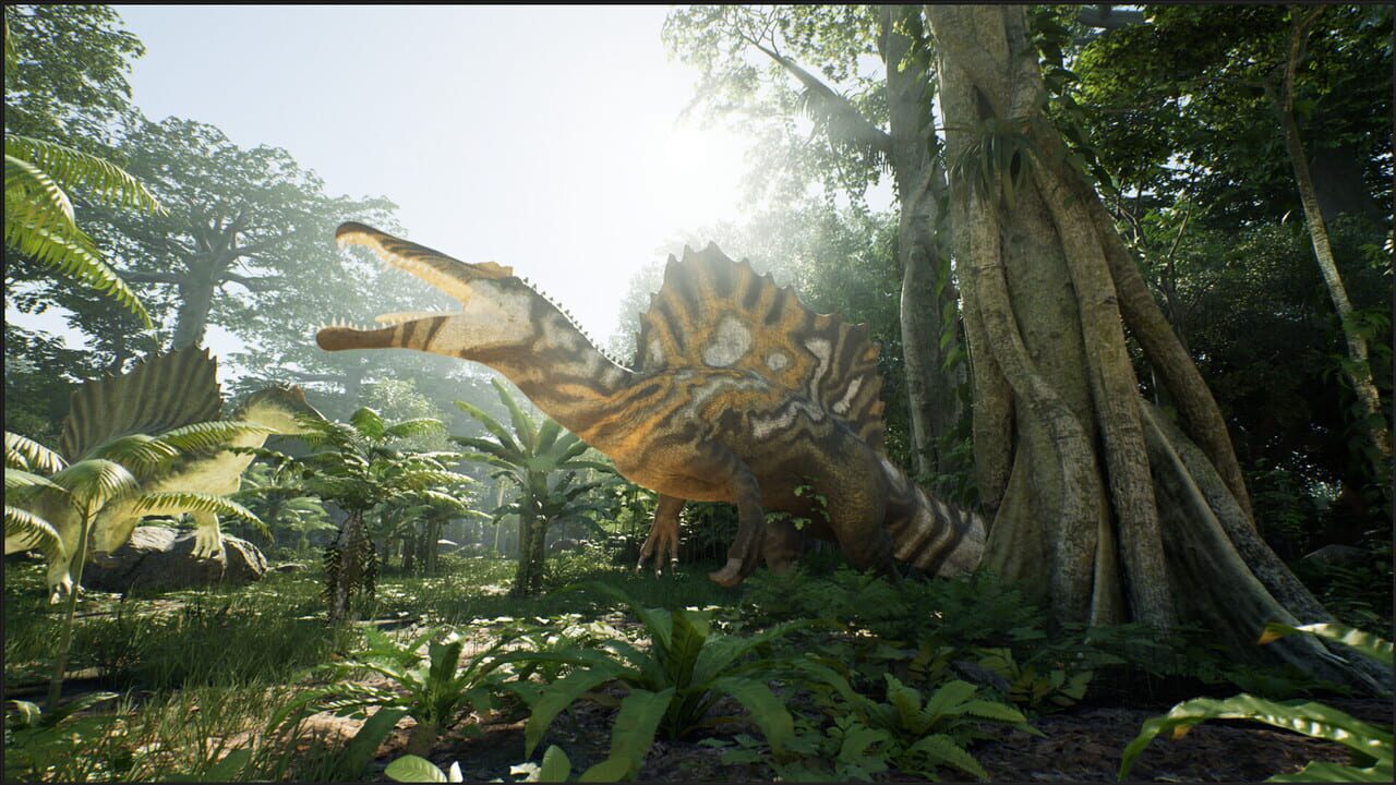 Screenshot 19