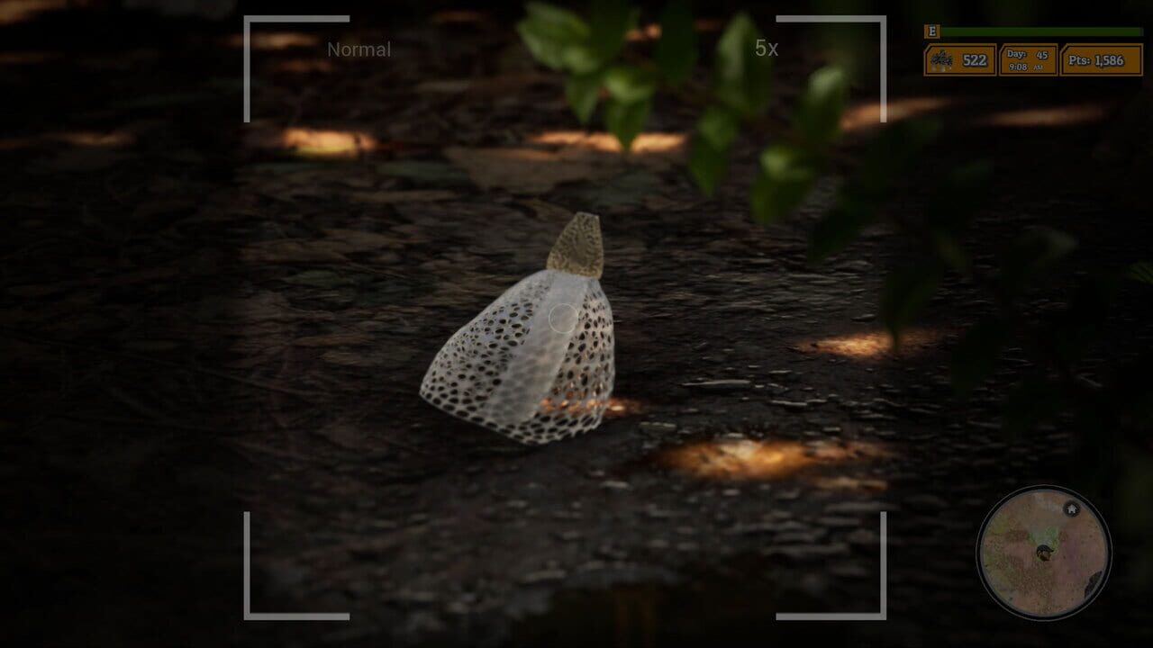 Screenshot 11