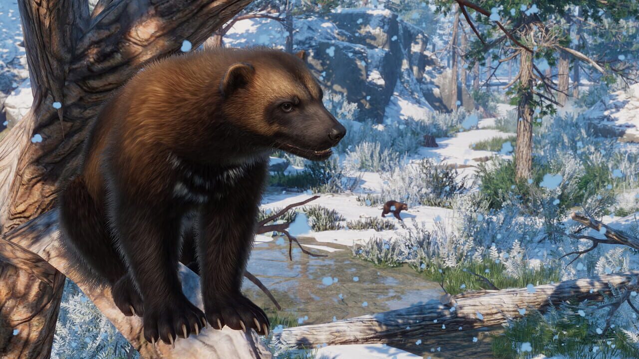 Planet Zoo: Eurasia Animal Pack — Screenshot 5