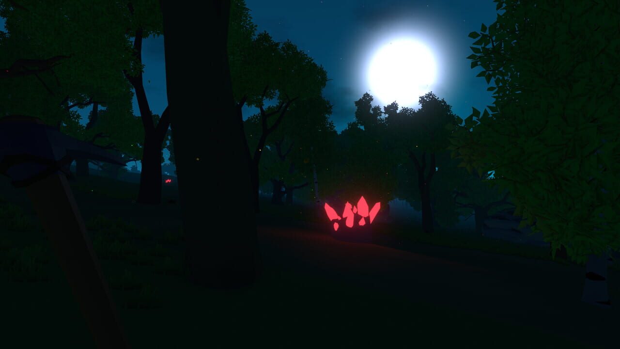 Poly Roam Image
