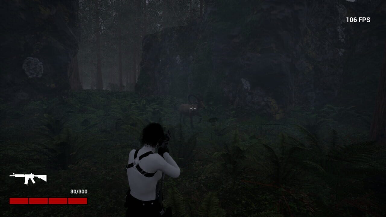 Dark Forest Image