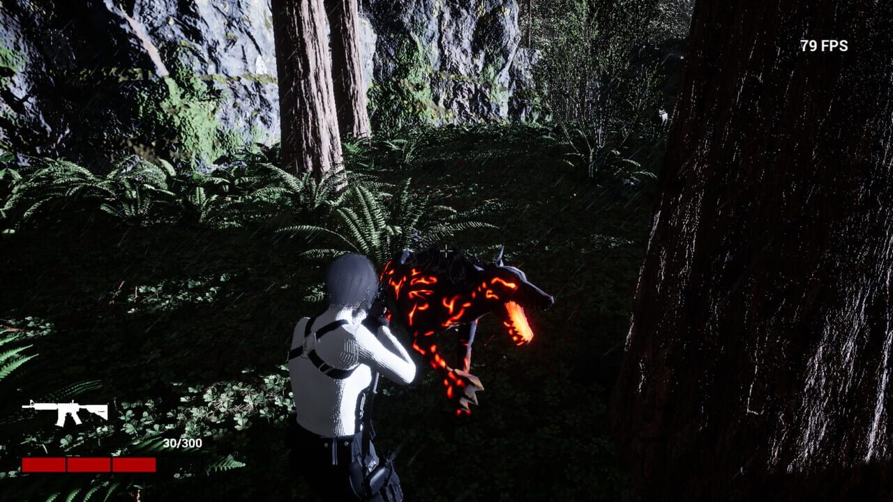 Dark Forest Image