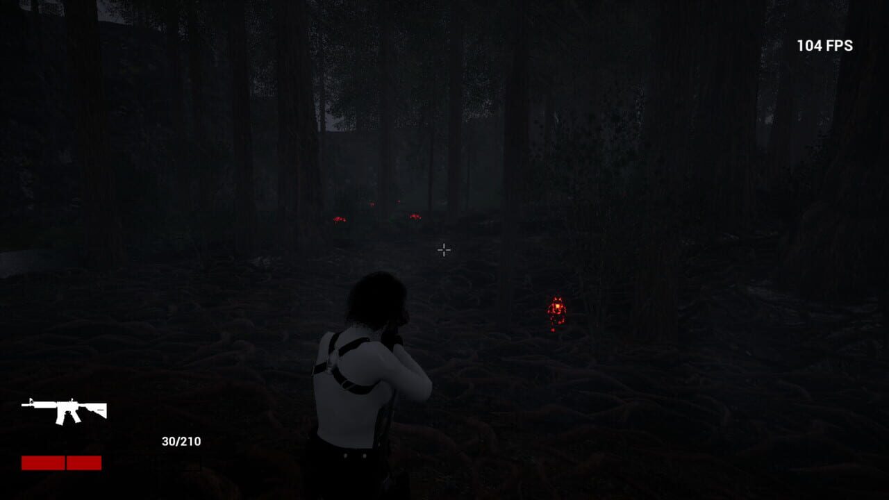 Dark Forest Image