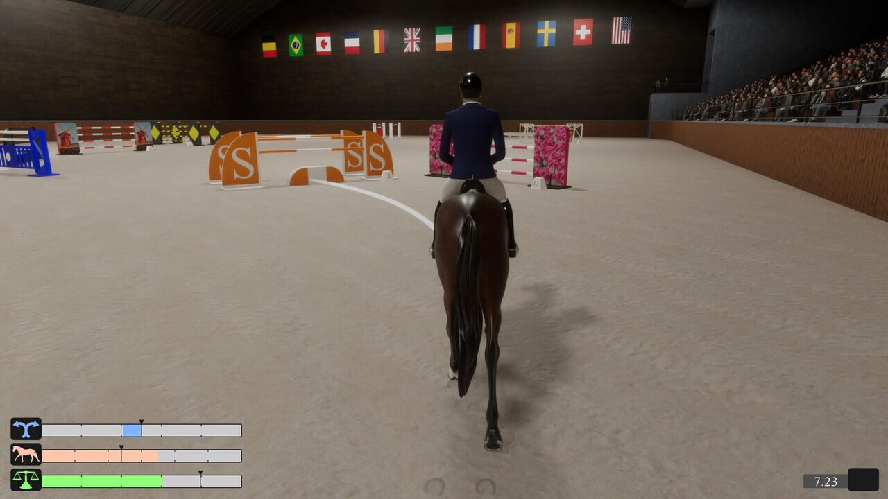 Pro Show Jumping Image
