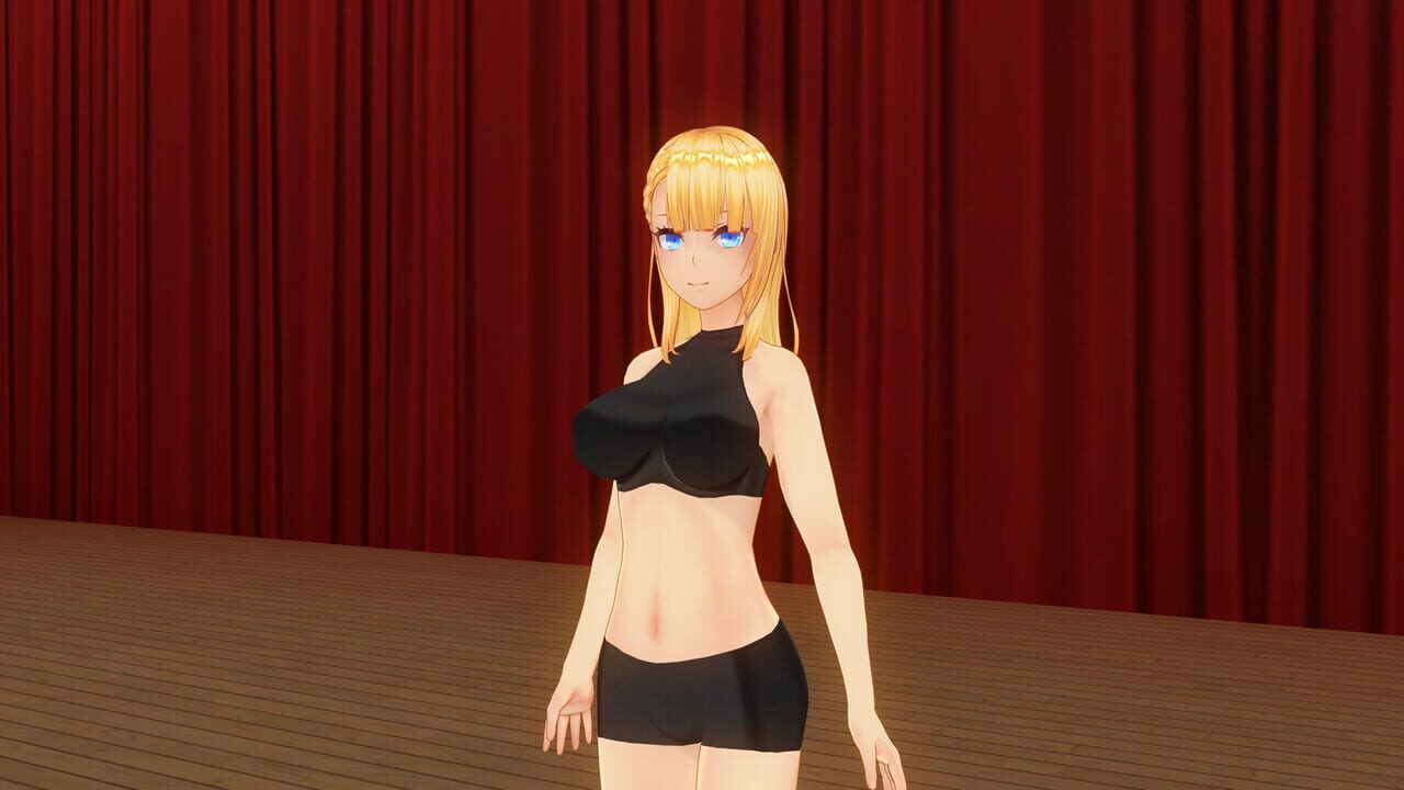 Custom Order Maid 3D2: It's a Night Magic Dancing Night, Merry Night All in Pack Image