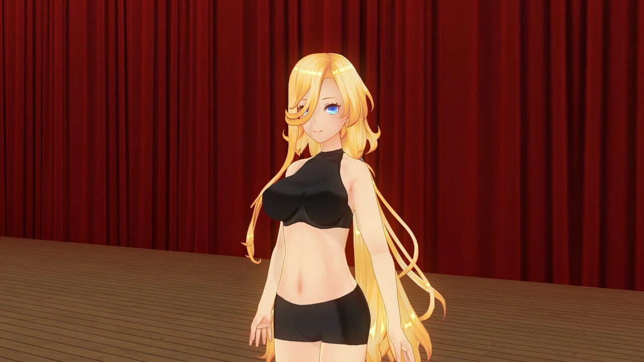 Custom Order Maid 3D2: It's a Night Magic Dancing Night, Merry Night All in Pack Image