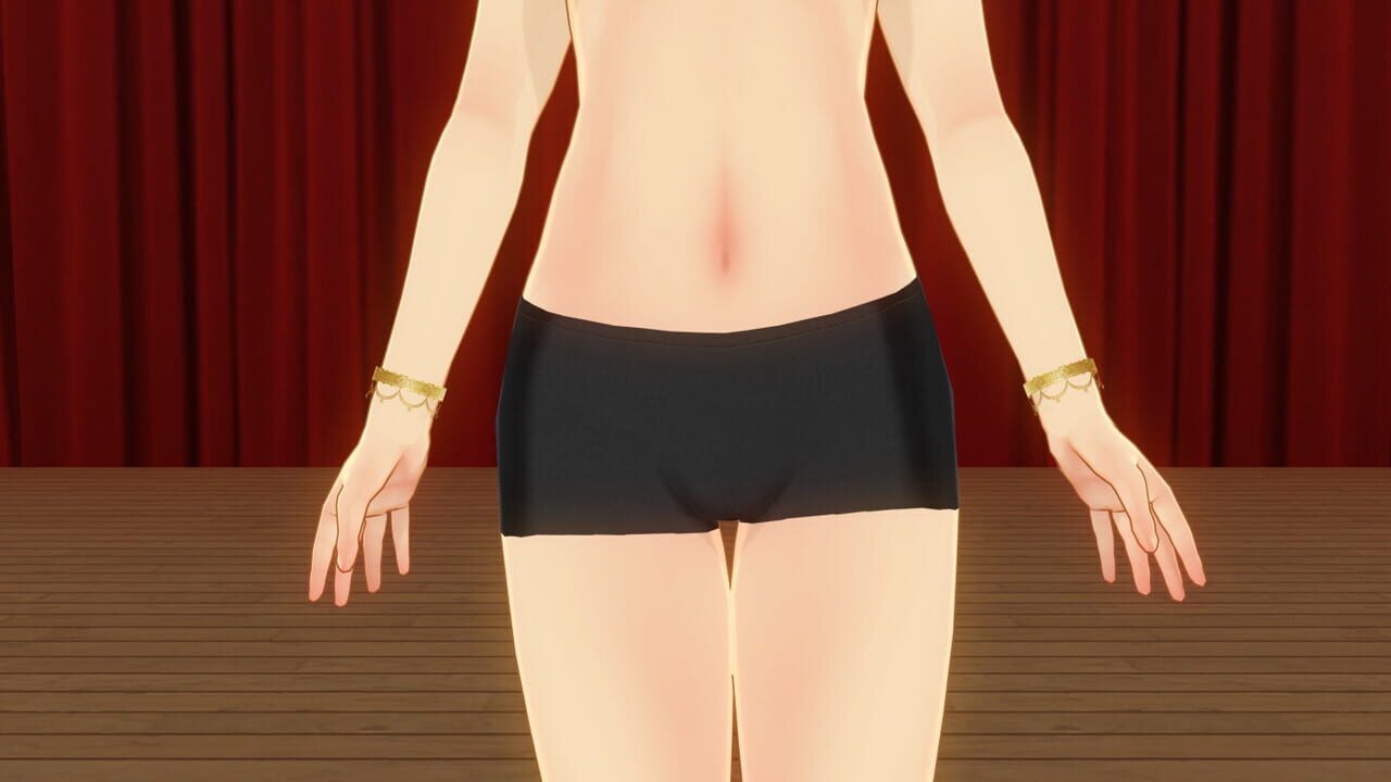 Custom Order Maid 3D2: It's a Night Magic Dancing Night, Merry Night All in Pack Image