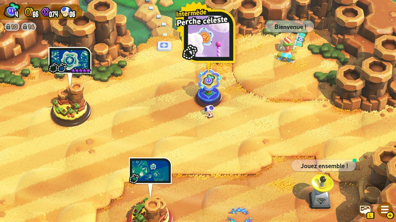 SMBW Randomizer — Screenshot 2