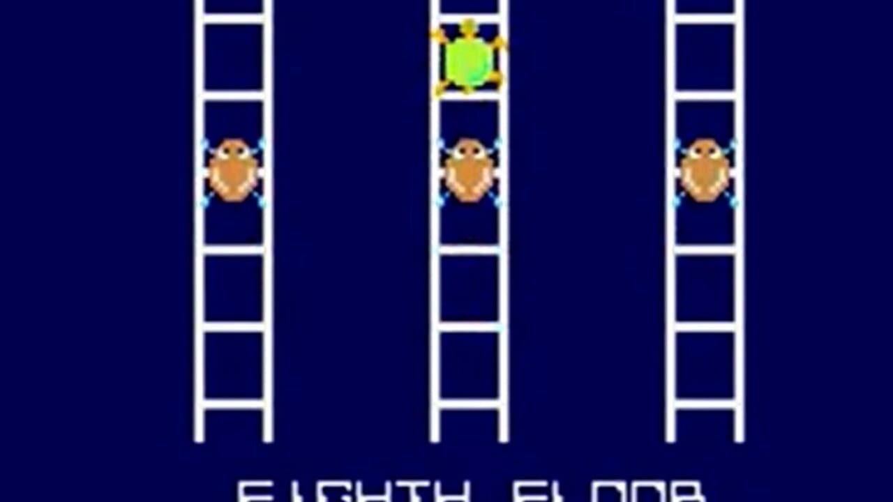 Turtles Image