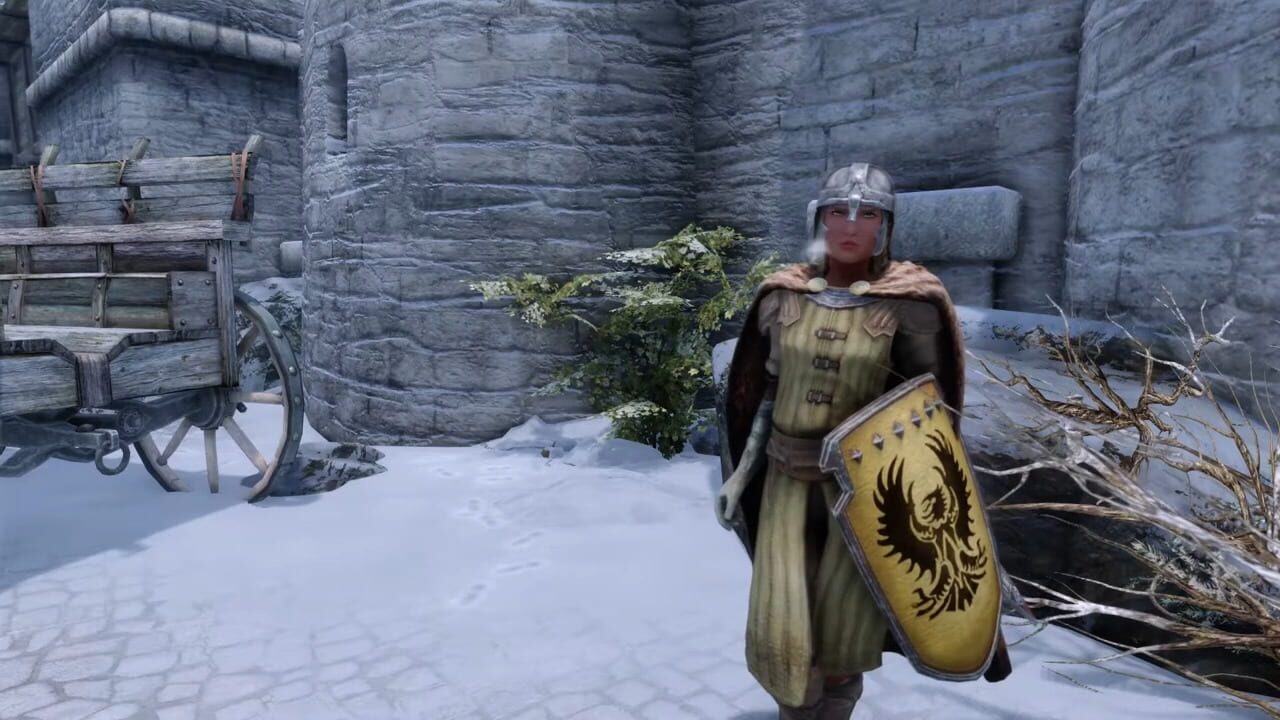 Beyond Skyrim — Screenshot 2