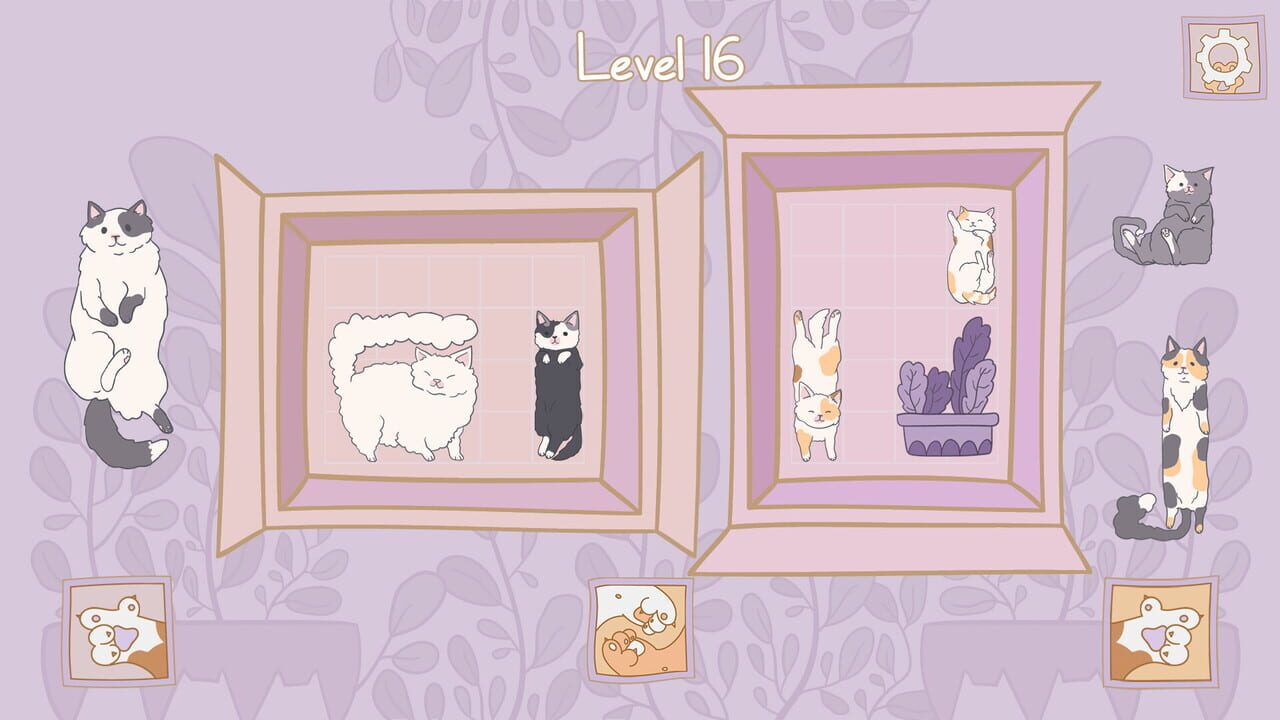 Cats in Boxes Image
