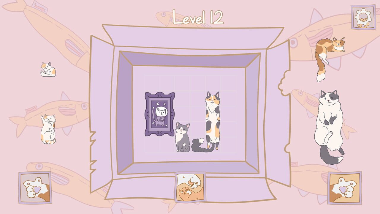 Cats in Boxes Image