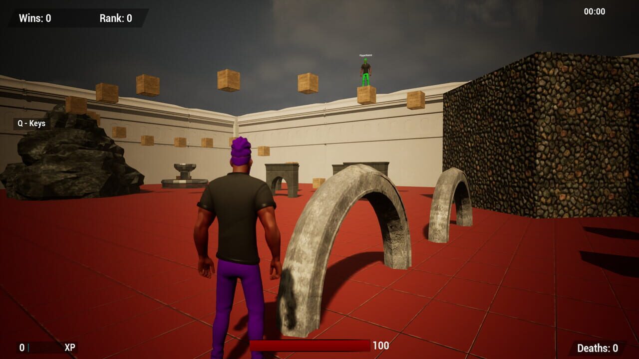 CelV Run Image