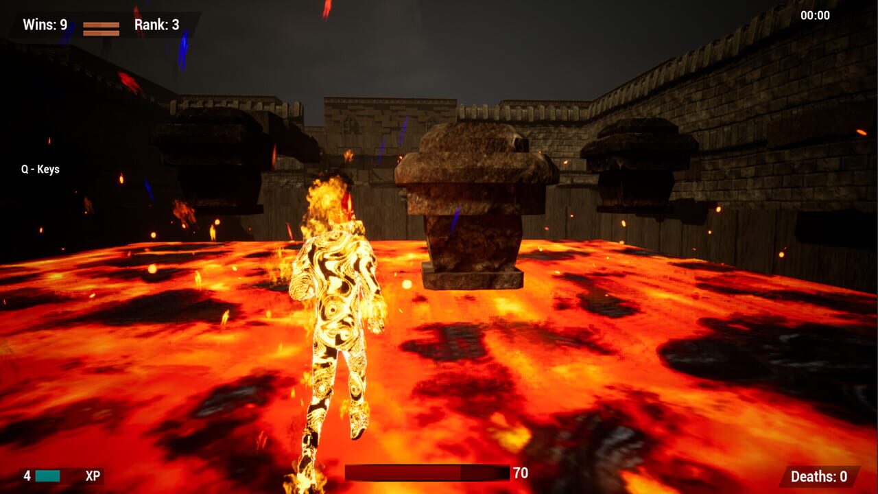 CelV Run Image