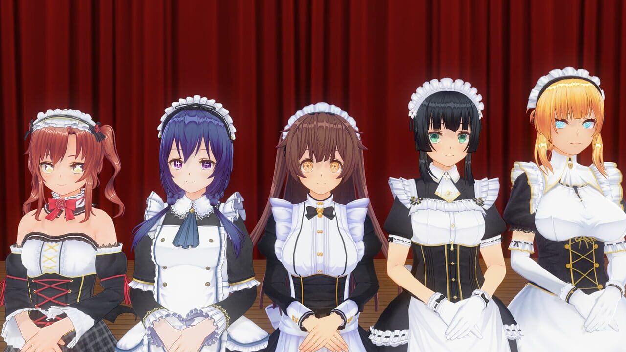 Custom Order Maid 3D2: It's a Night Magic Shogatsu Gifts All in Pack Image