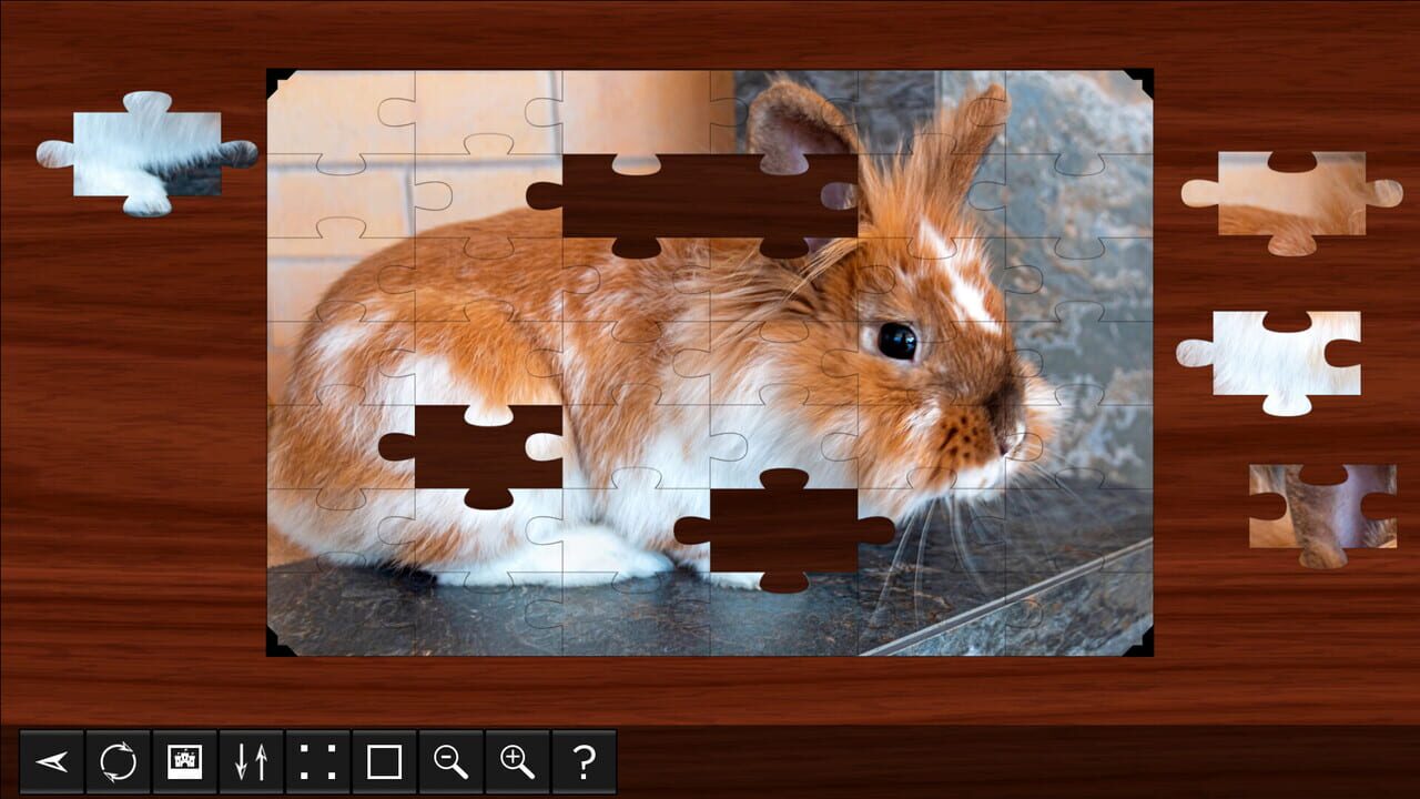 Jigsaw Puzzle World: Rabbits Image
