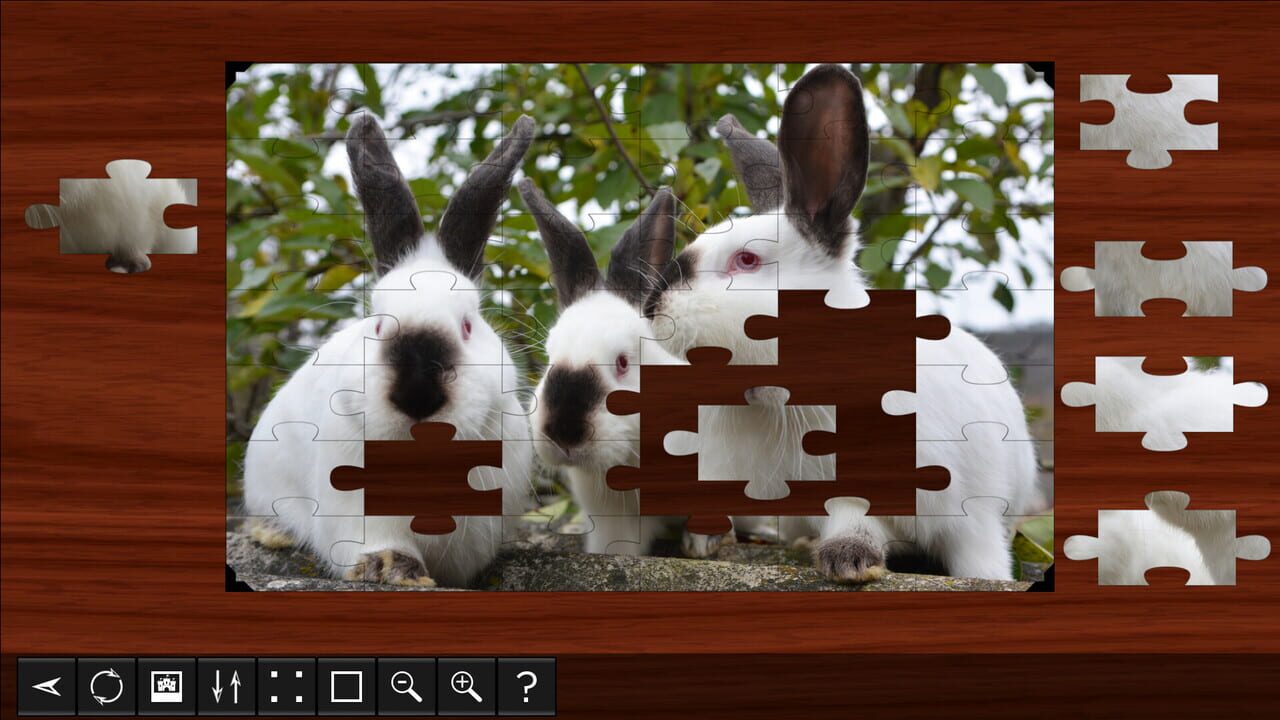 Jigsaw Puzzle World: Rabbits Image
