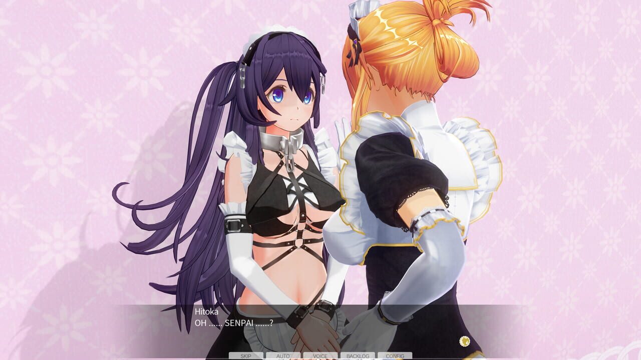 Custom Order Maid 3D2: Character EX Pack - Perverted Extreme Masochist Image