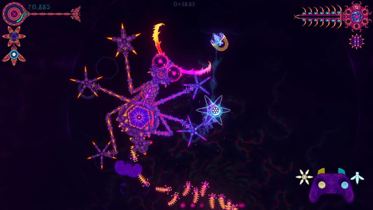 Nidus Image