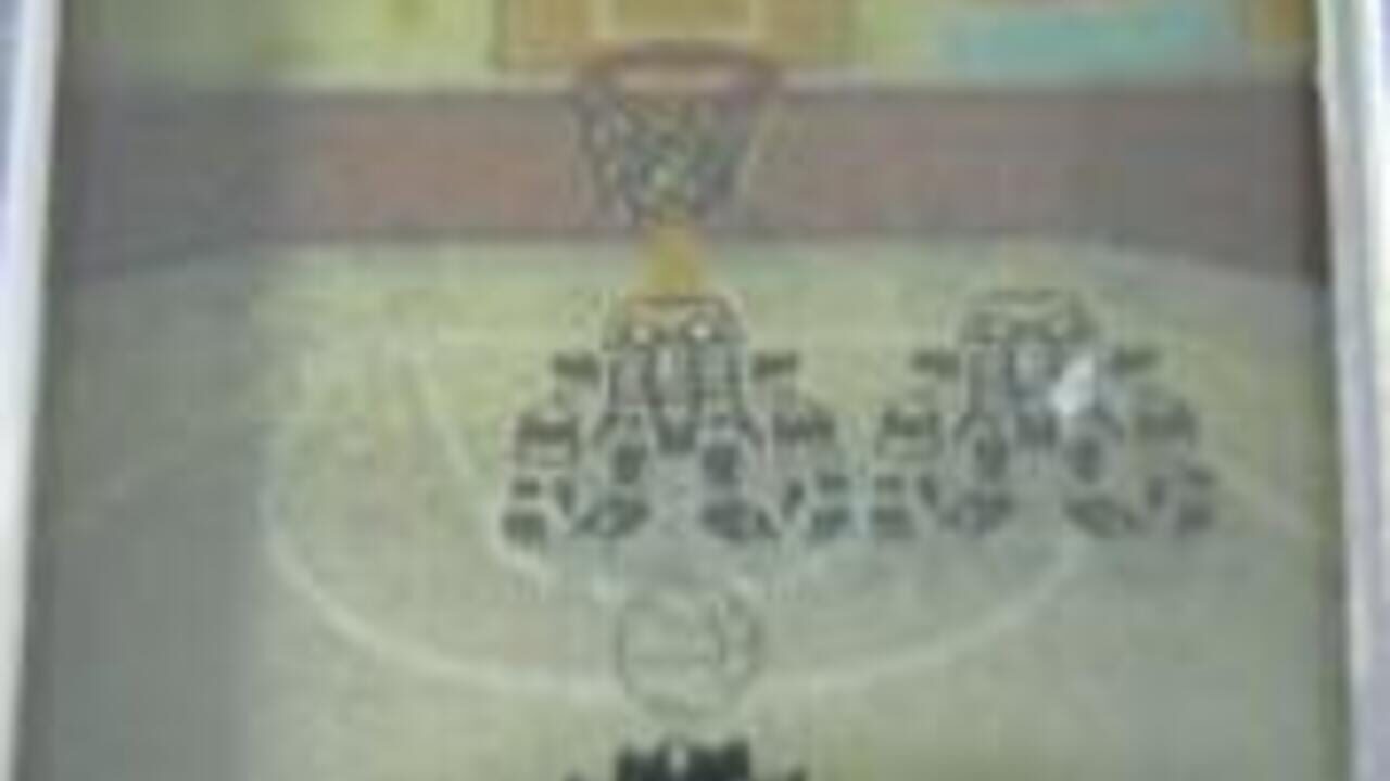 Shadow Basketball — Screenshot 1