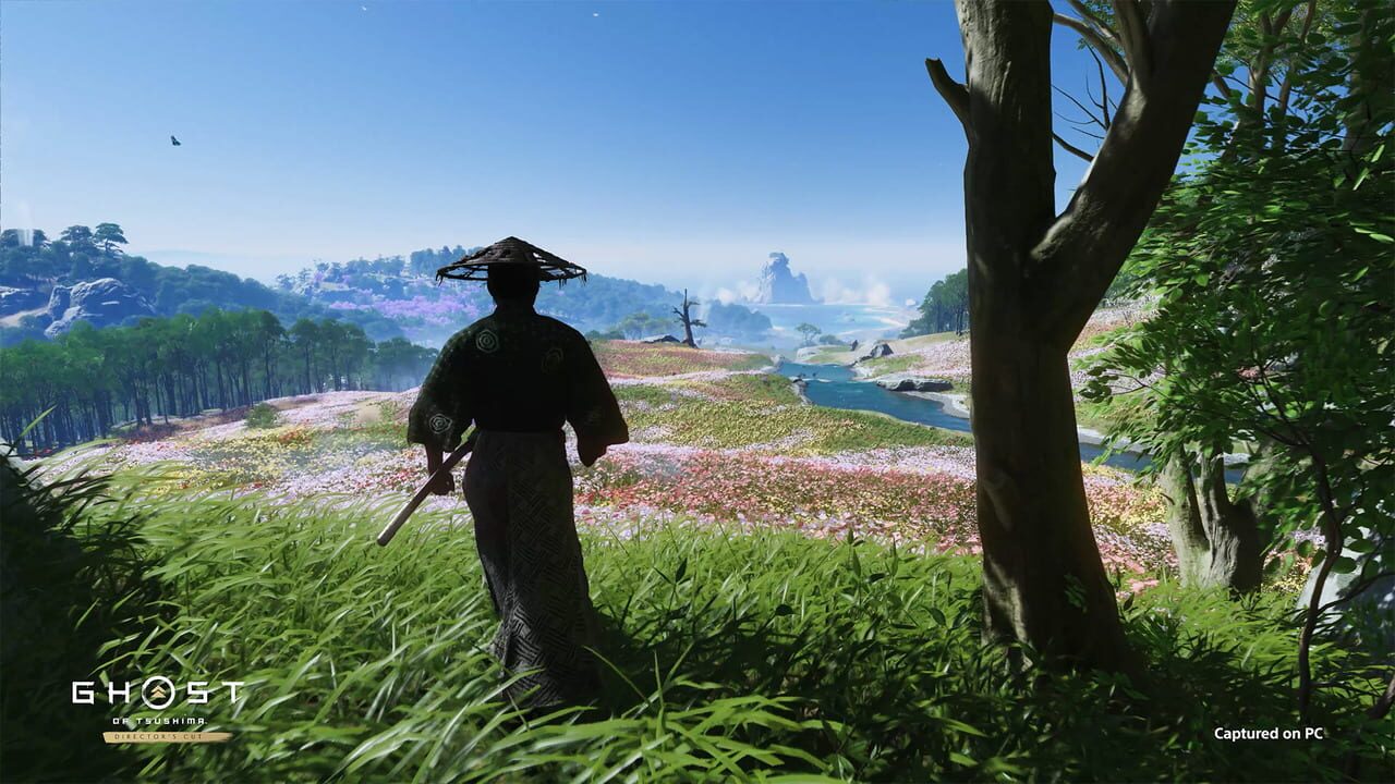 Ghost of Tsushima: Director's Cut Image