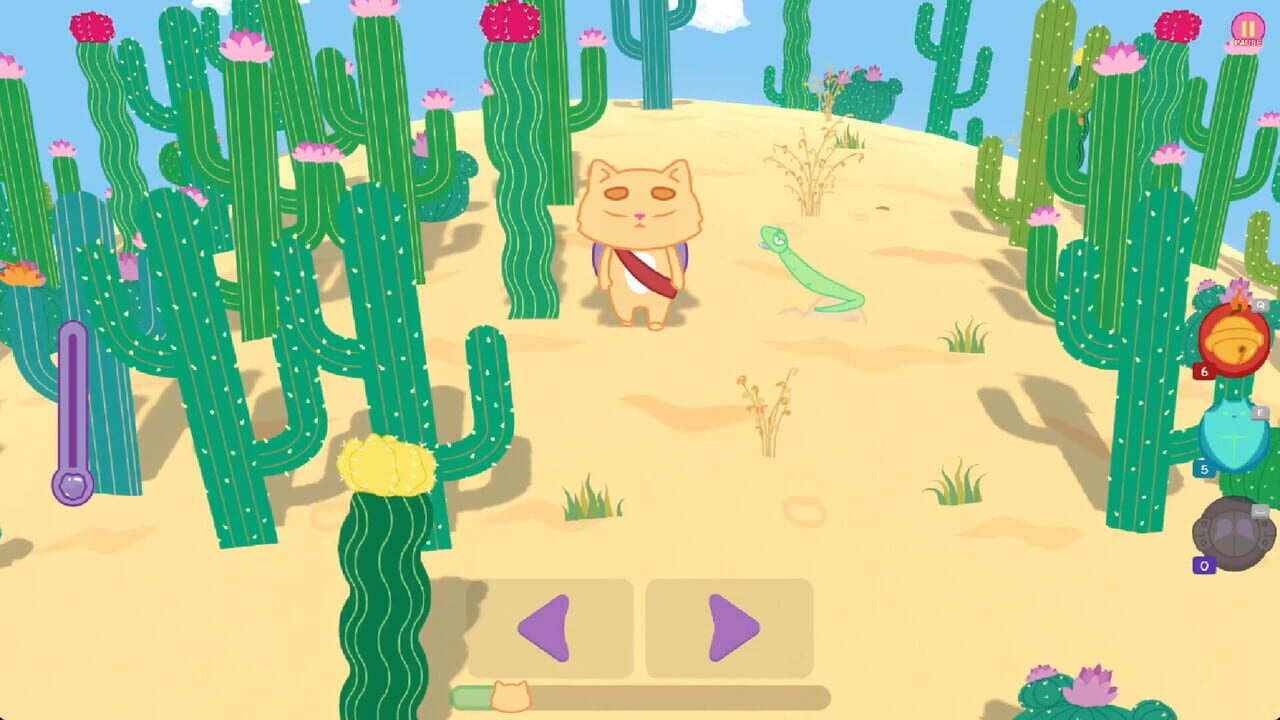 Kiwie vs. Desert Image