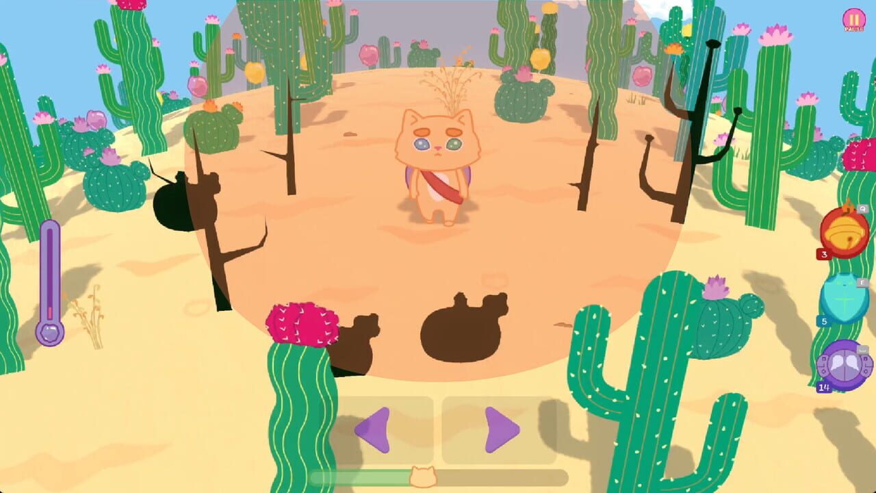 Kiwie vs. Desert Image