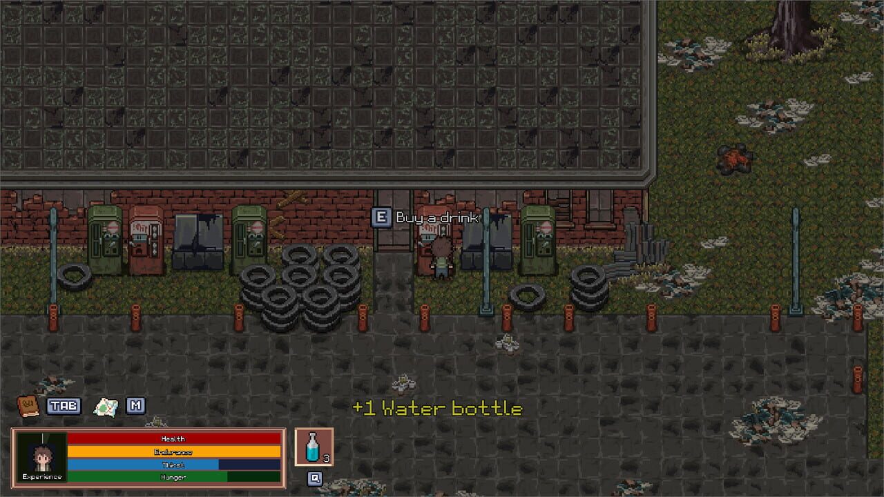 Survival Story Image