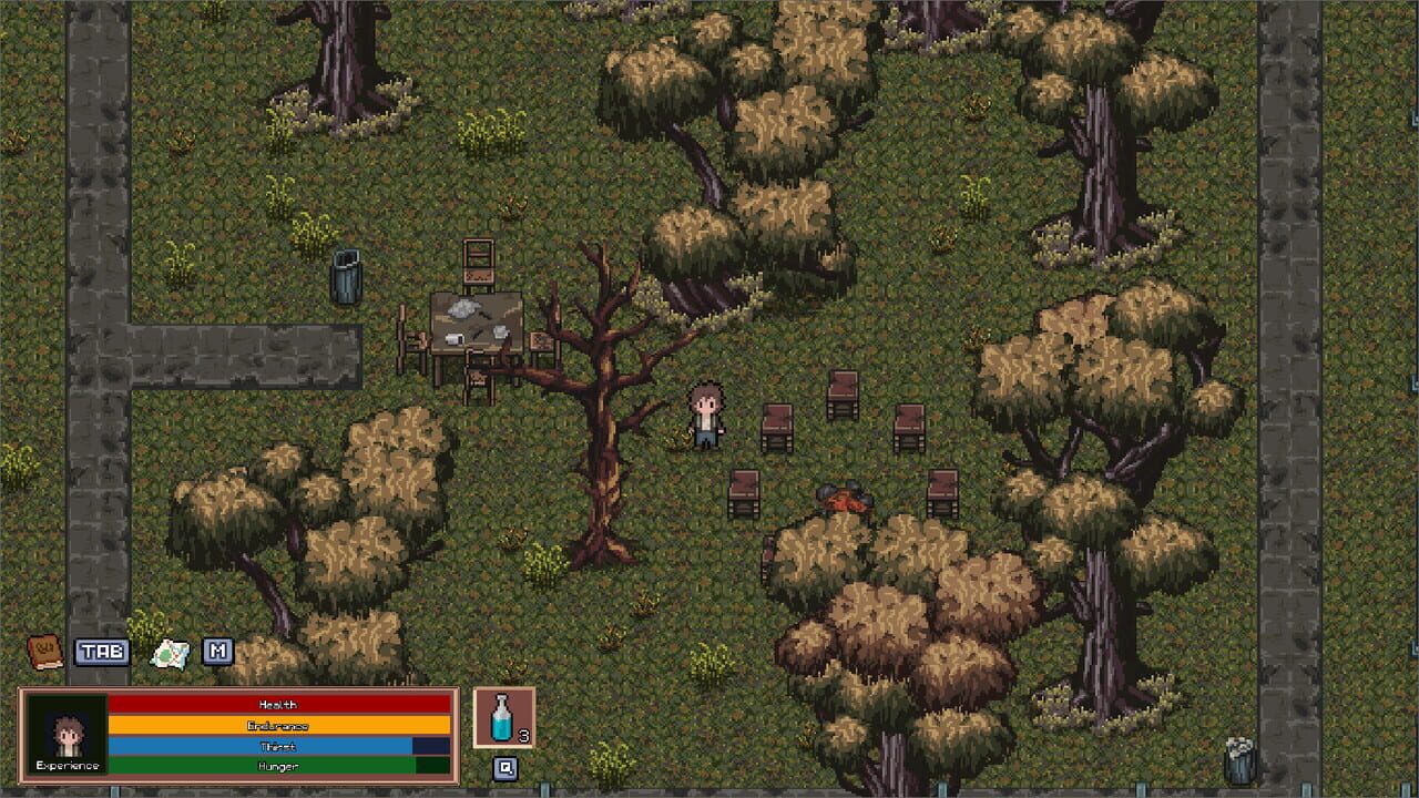 Survival Story Image