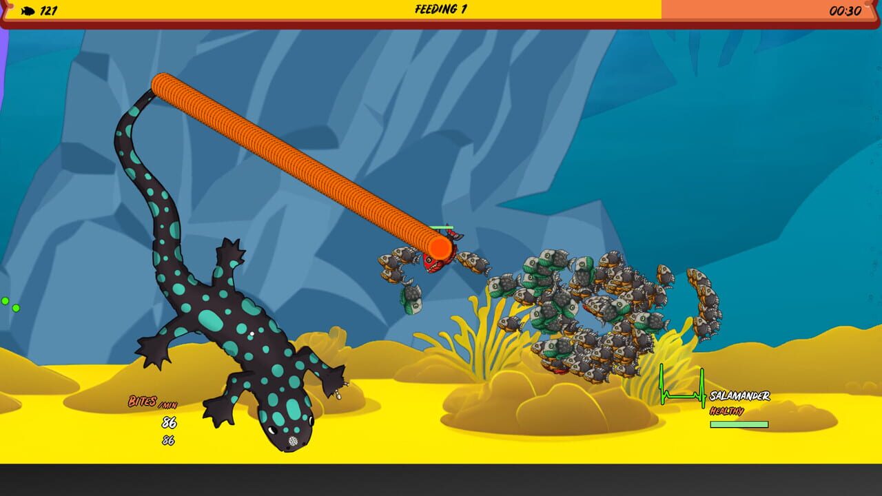 Piranha Feeding Image