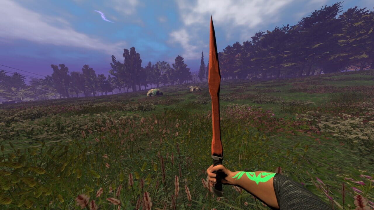 The Scar Image