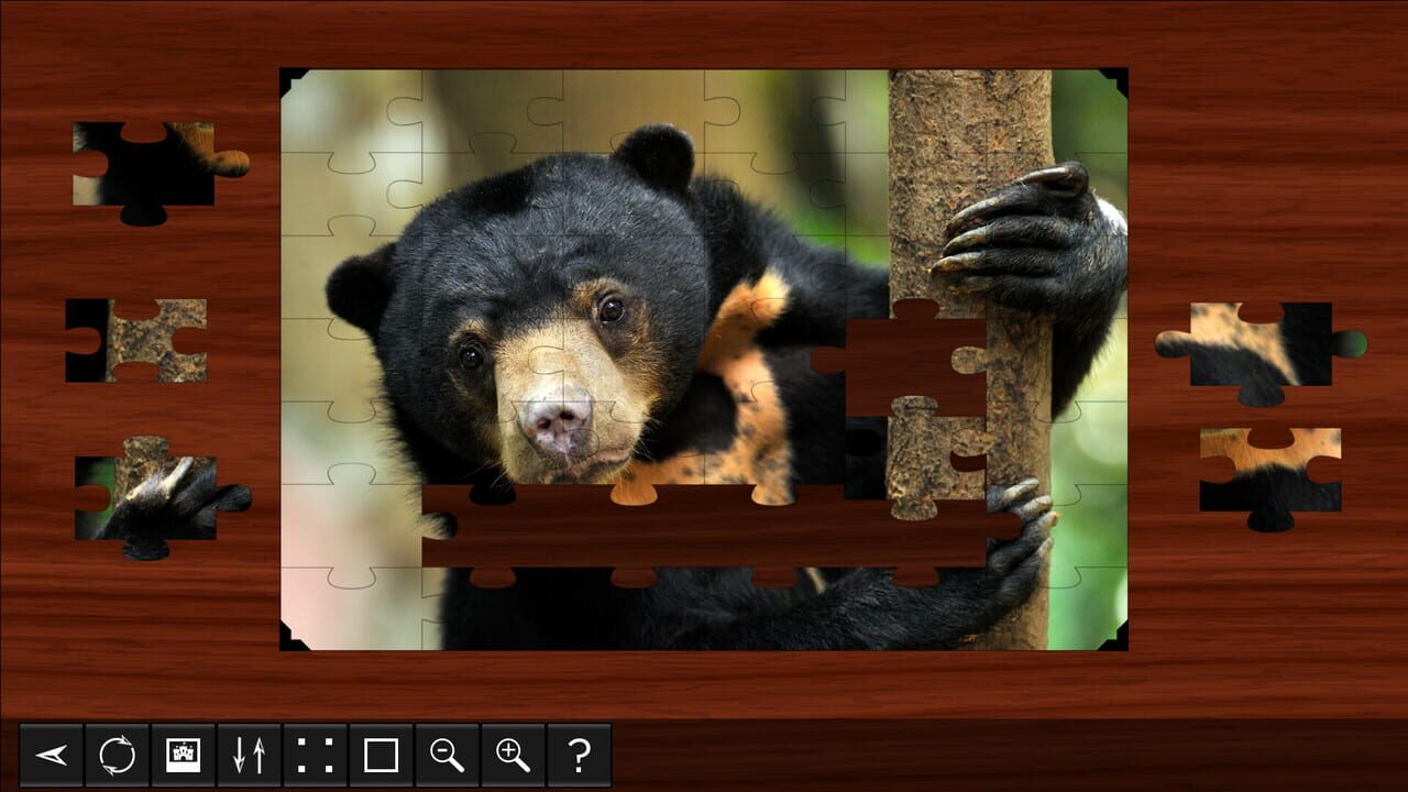 Jigsaw Puzzle World: Bears Image
