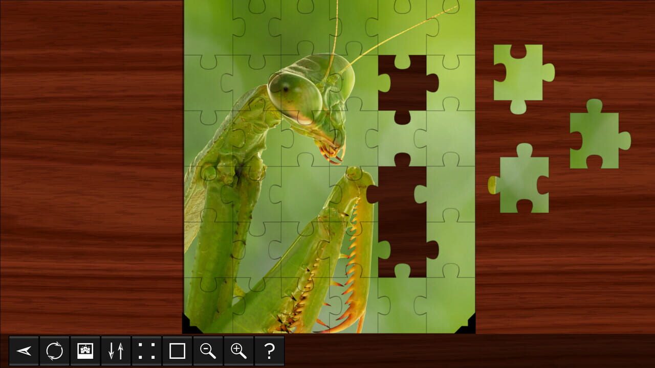 Jigsaw Puzzle World: Insects Image