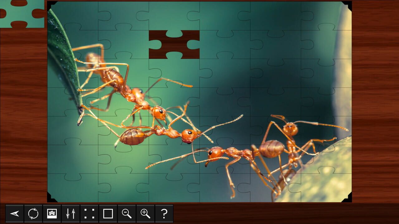 Jigsaw Puzzle World: Insects Image