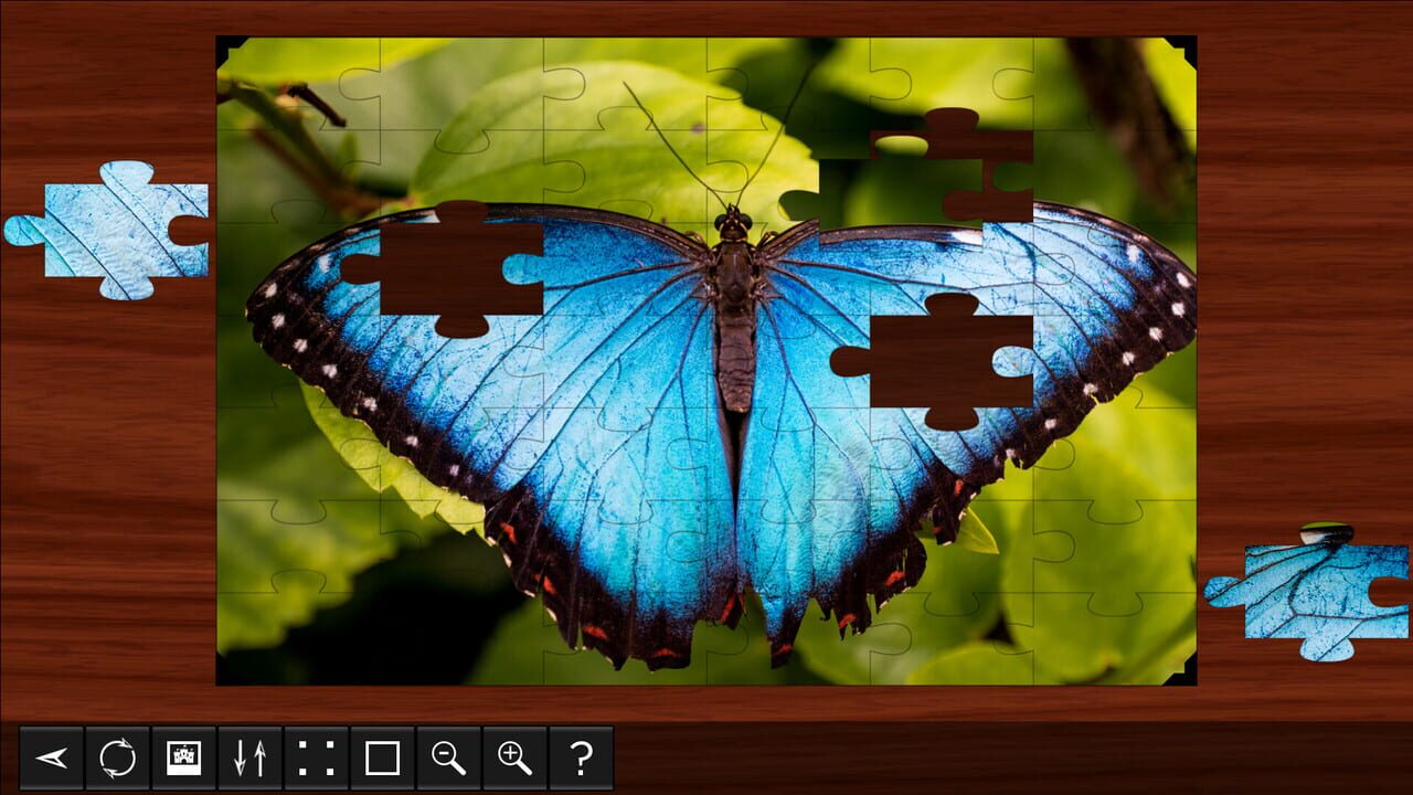 Jigsaw Puzzle World: Insects Image