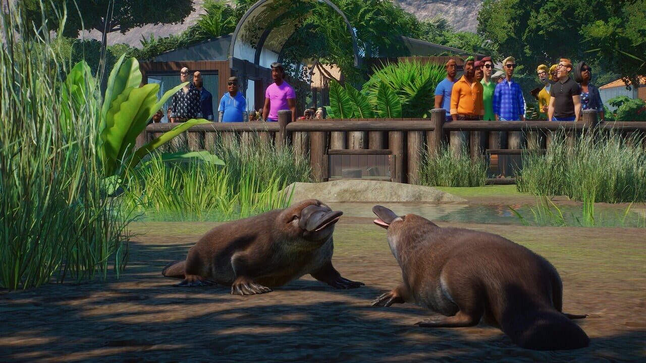 Planet Zoo: Console Edition - Ultimate Edition — Screenshot 1