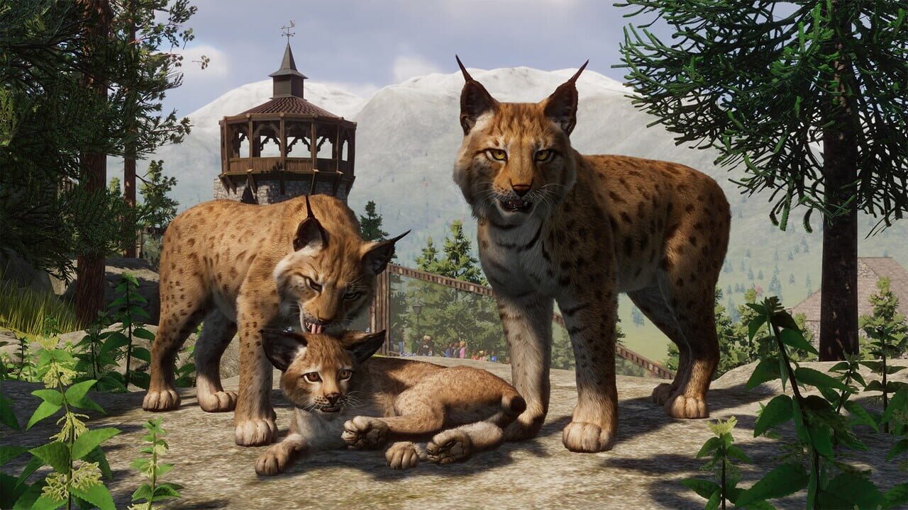 Planet Zoo: Console Edition - Ultimate Edition — Screenshot 4