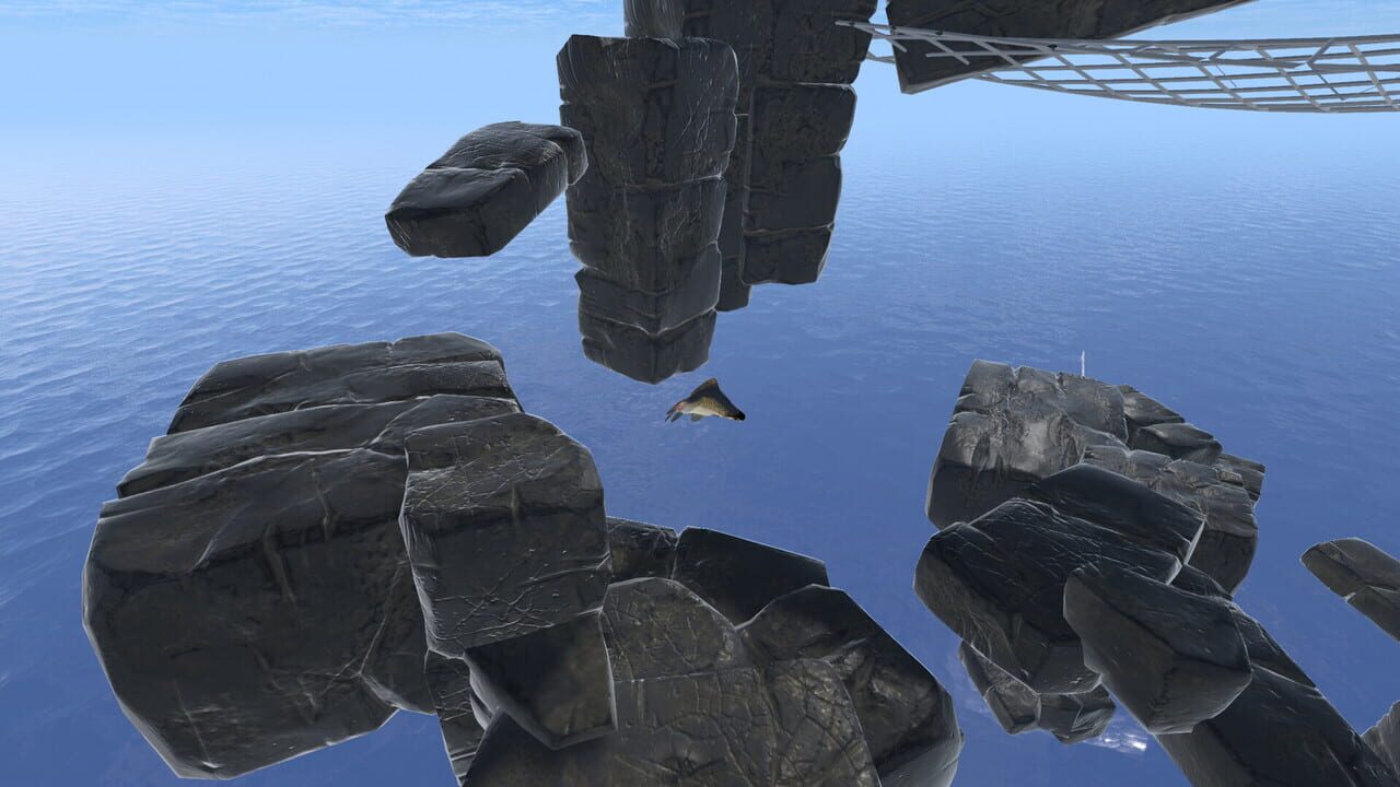 Fish Hero Image