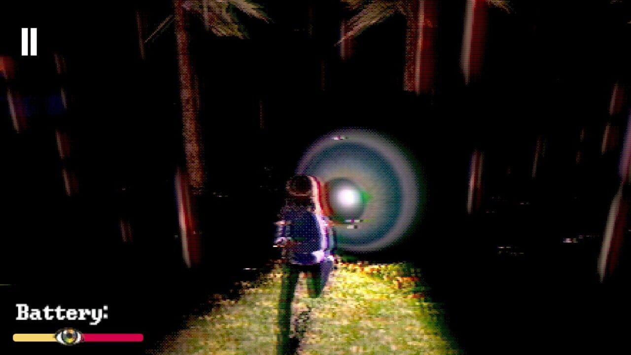 Iris Image