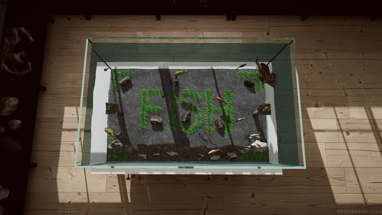 Aquarium in Cafe Image