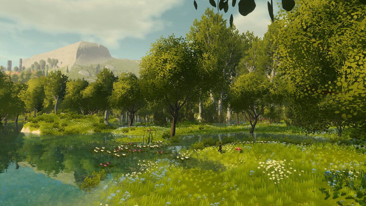 Wilderless Image
