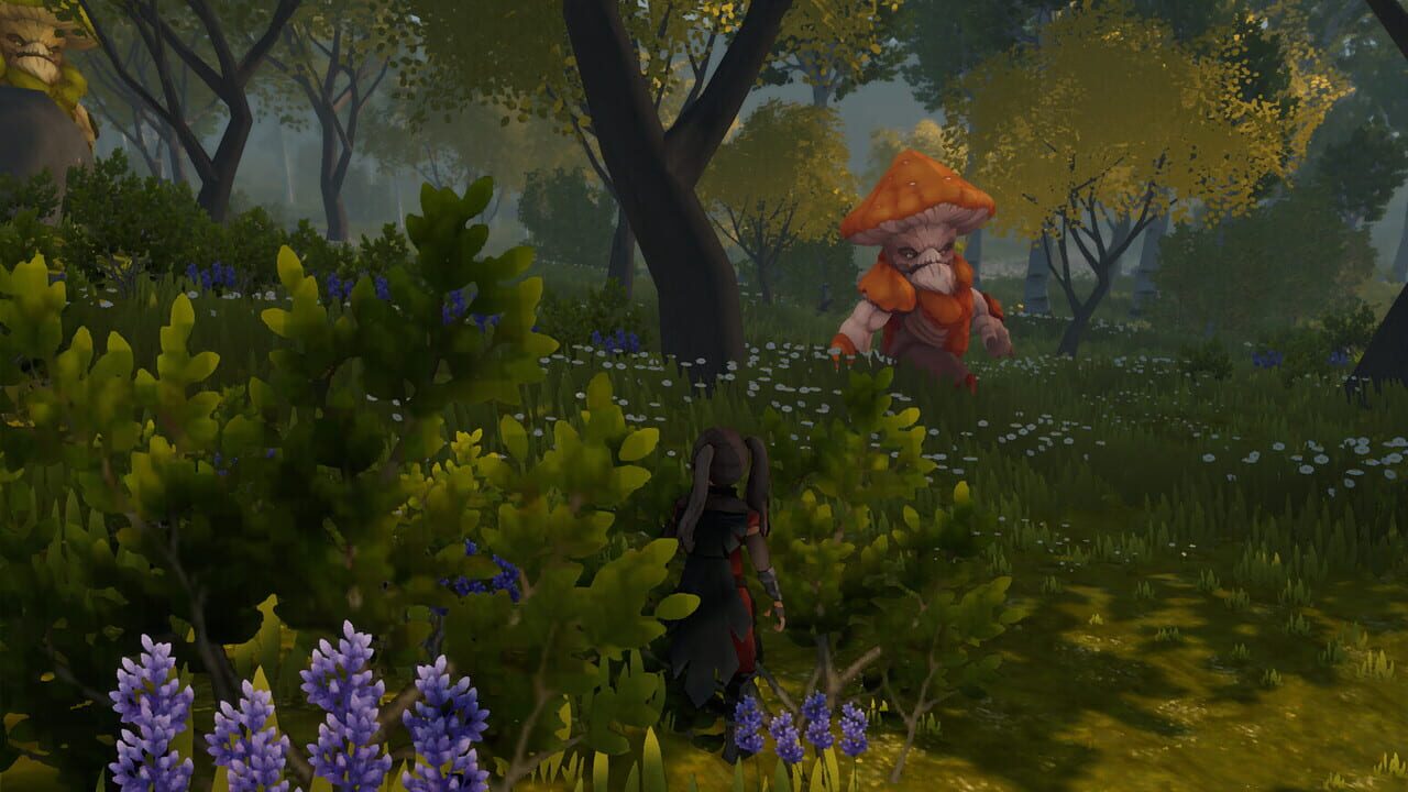 Wilderless Image