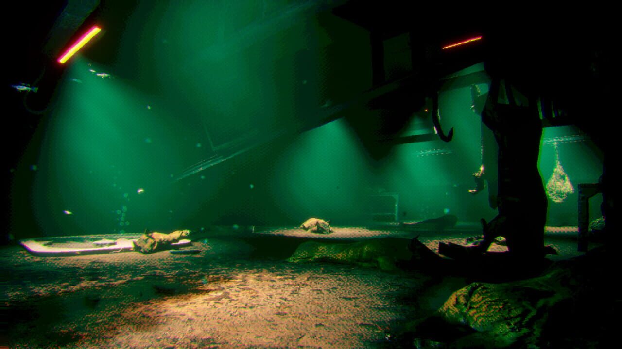 Murky Divers Image