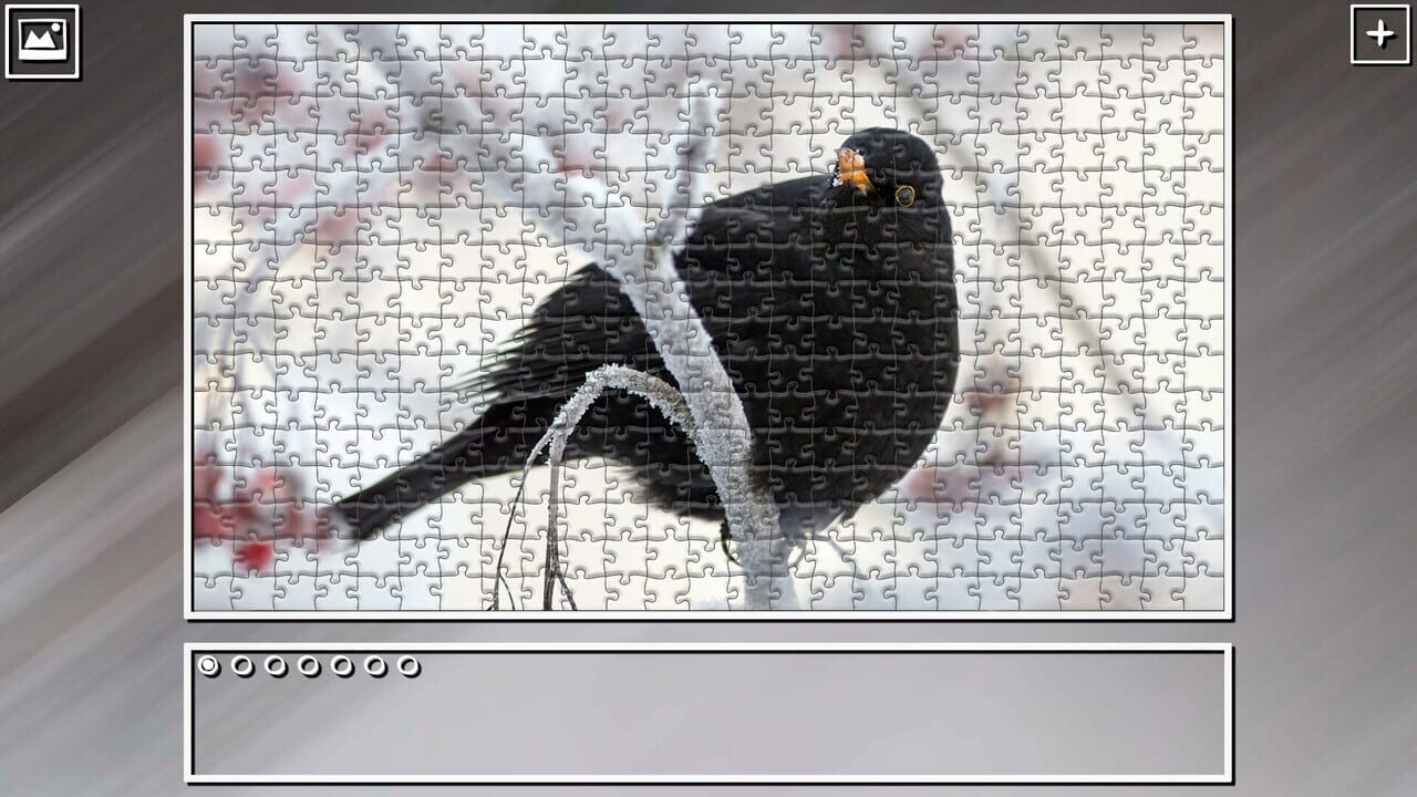Super Jigsaw Puzzle: Generations - Birds 2 Image